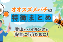 【オオスズメバチの生態と対策】今すぐできるアウトドアでの被害を防ぐ方法